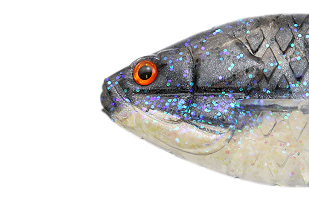 一誠 ギルフラット Jr