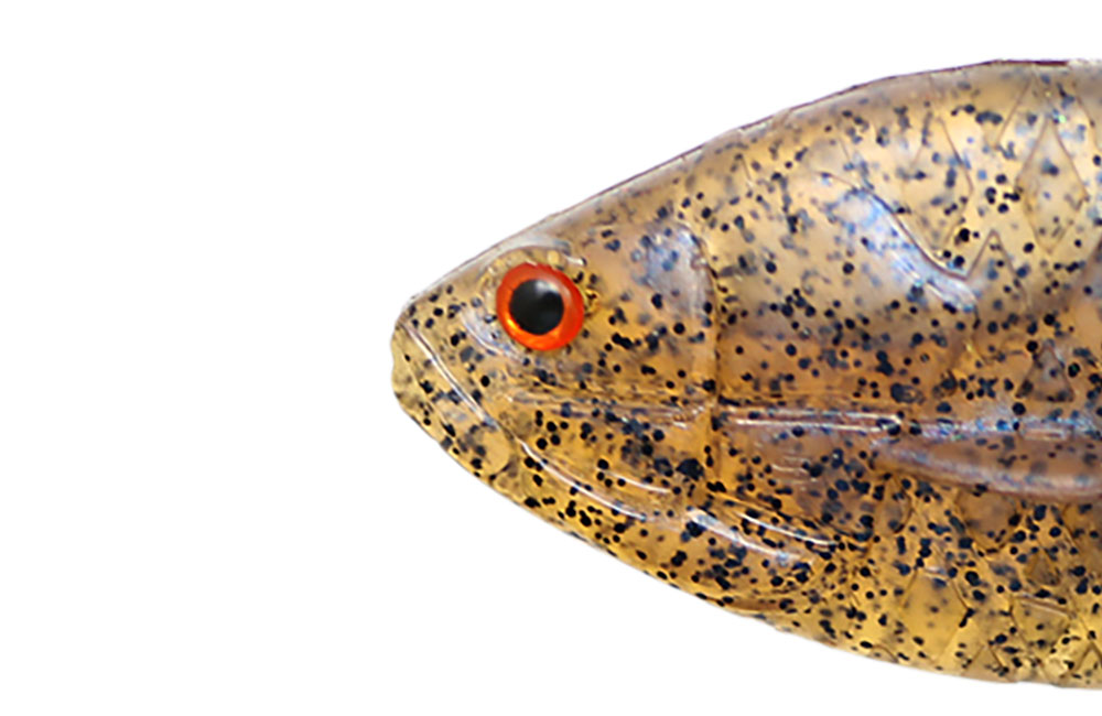 [a] 一誠　ギルフラットJr. ギルフラット Jr. | issei [一誠]