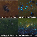 ボレアス  アノストレート 5.5