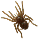 ガンクラフト ビッグスパイダー