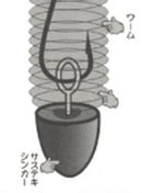 ザップ サステキ