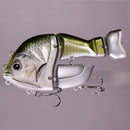 マニフォールド カステラーノン