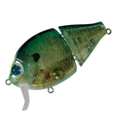 バレーヒル ブギーバック （アワビインサート）