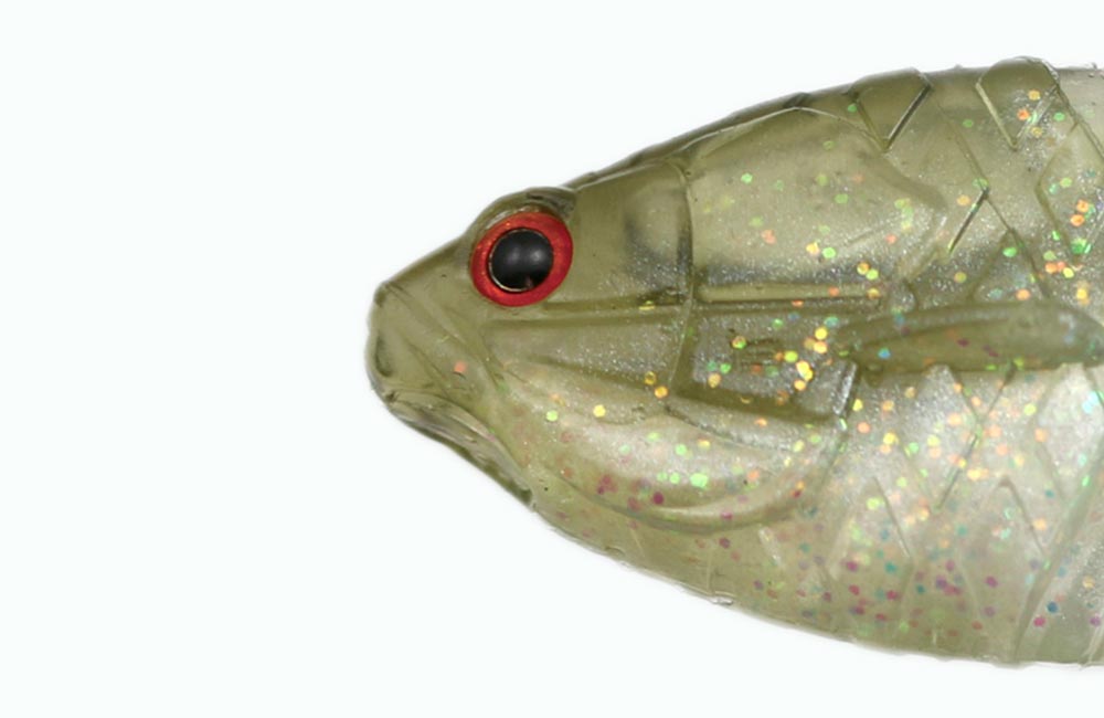 一誠 ギルフラット Jr