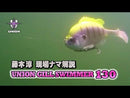 フラッシュユニオン ユニオンギルスイマー 130
