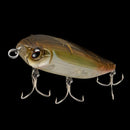 エバーグリーン コンバットペンシル ジャスティーン