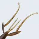 エバーグリーン C-4 シュリンプ 2.8