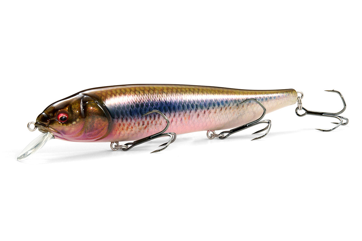 メガバス megabass ラテス メガバス ラテス