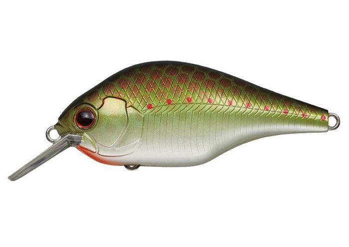 エバーグリーン ゼルク