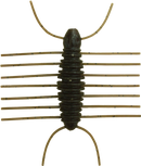 イマカツ 三原虫 40