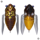 メガバス シグレ